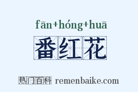 番红花是什么意思的图片